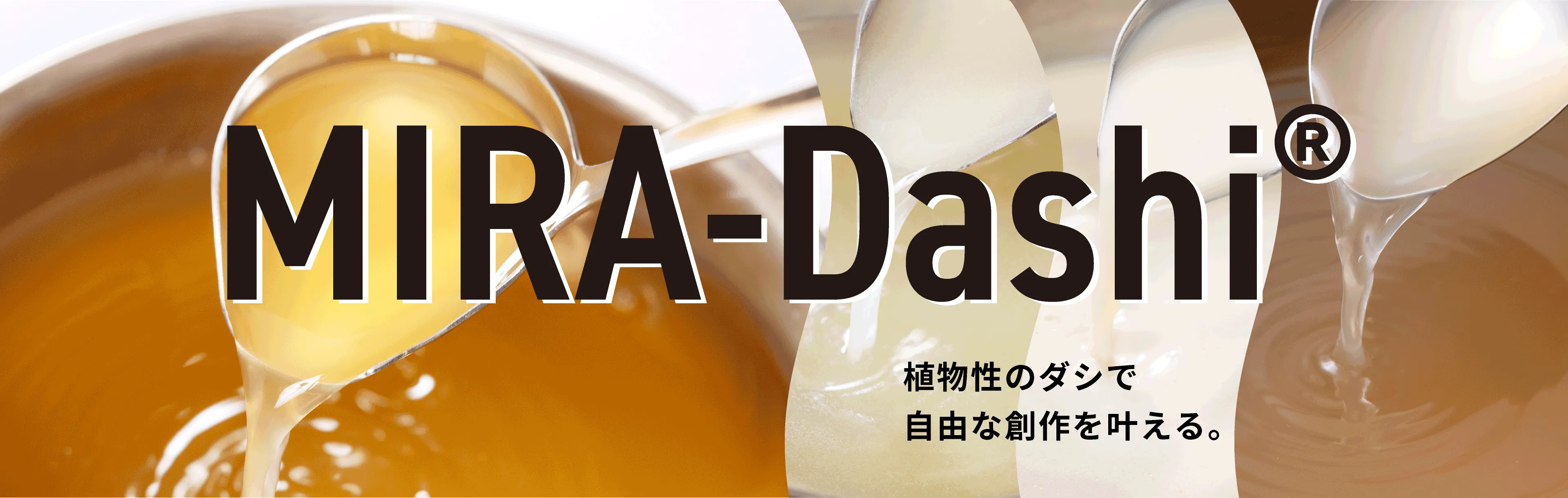 MVのスライドの2枚目の画像です