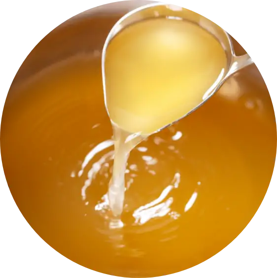 DBF（Plant-Based Food:植物性食品）のイメージ画像です