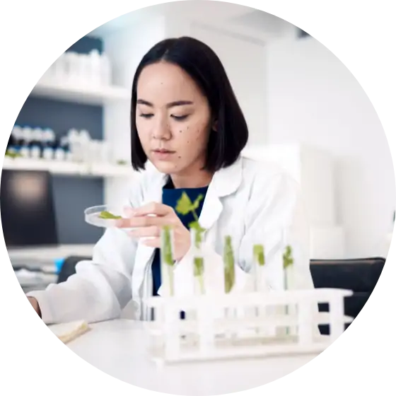 幅広いお客様に喜ばれる新メニュー開発のイメージ画像です