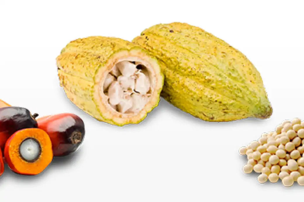 会社概要のイメージ画像です